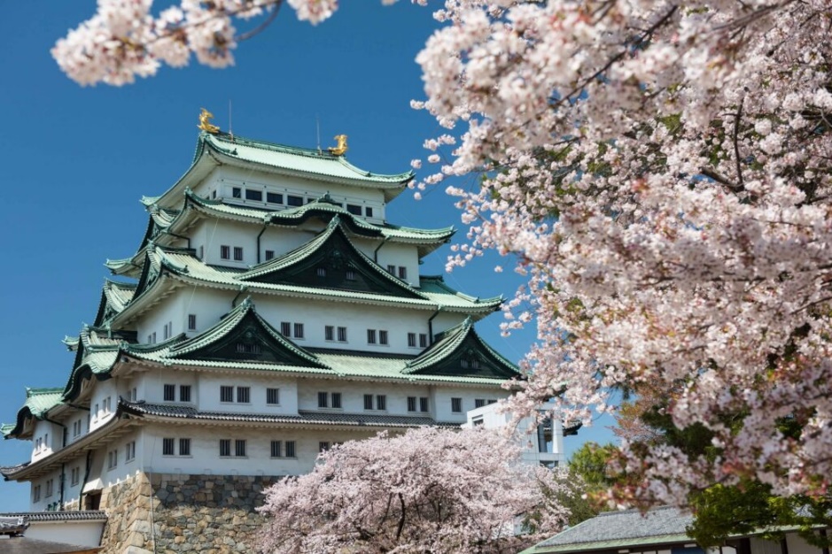 Nagoya Castle in spring