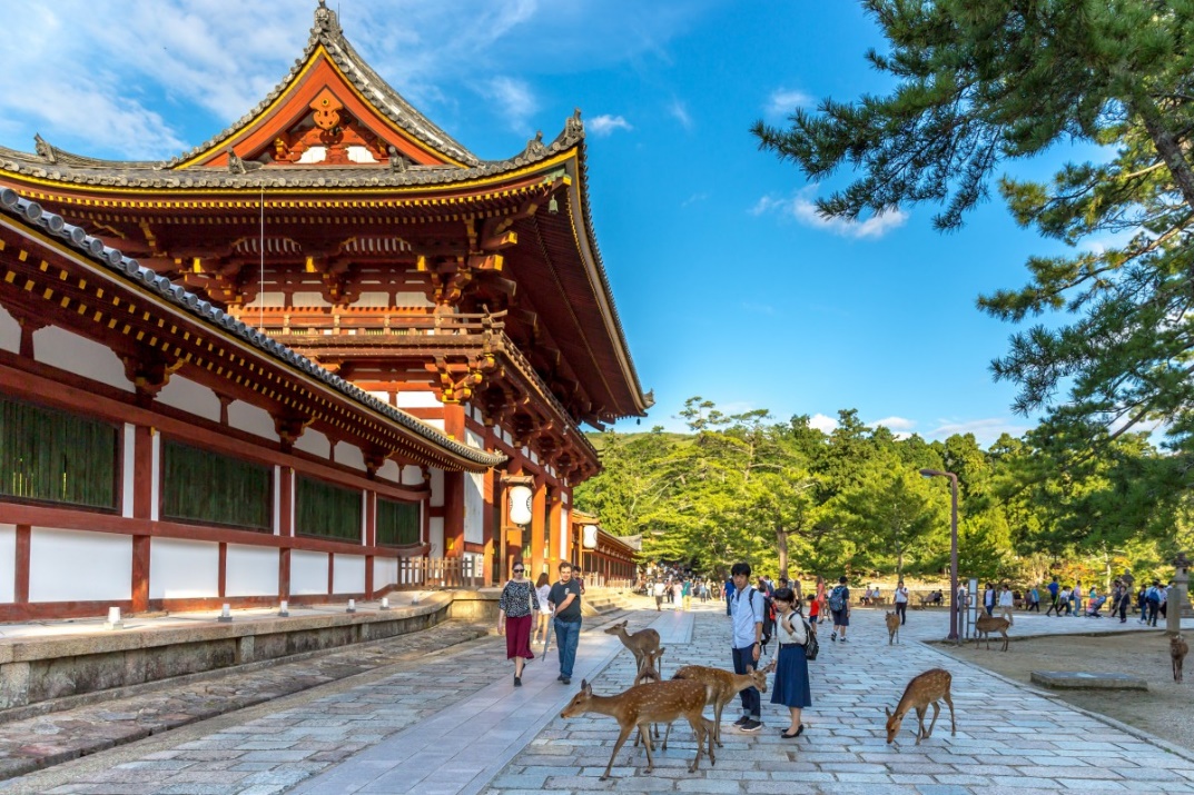 Nara temple and deer